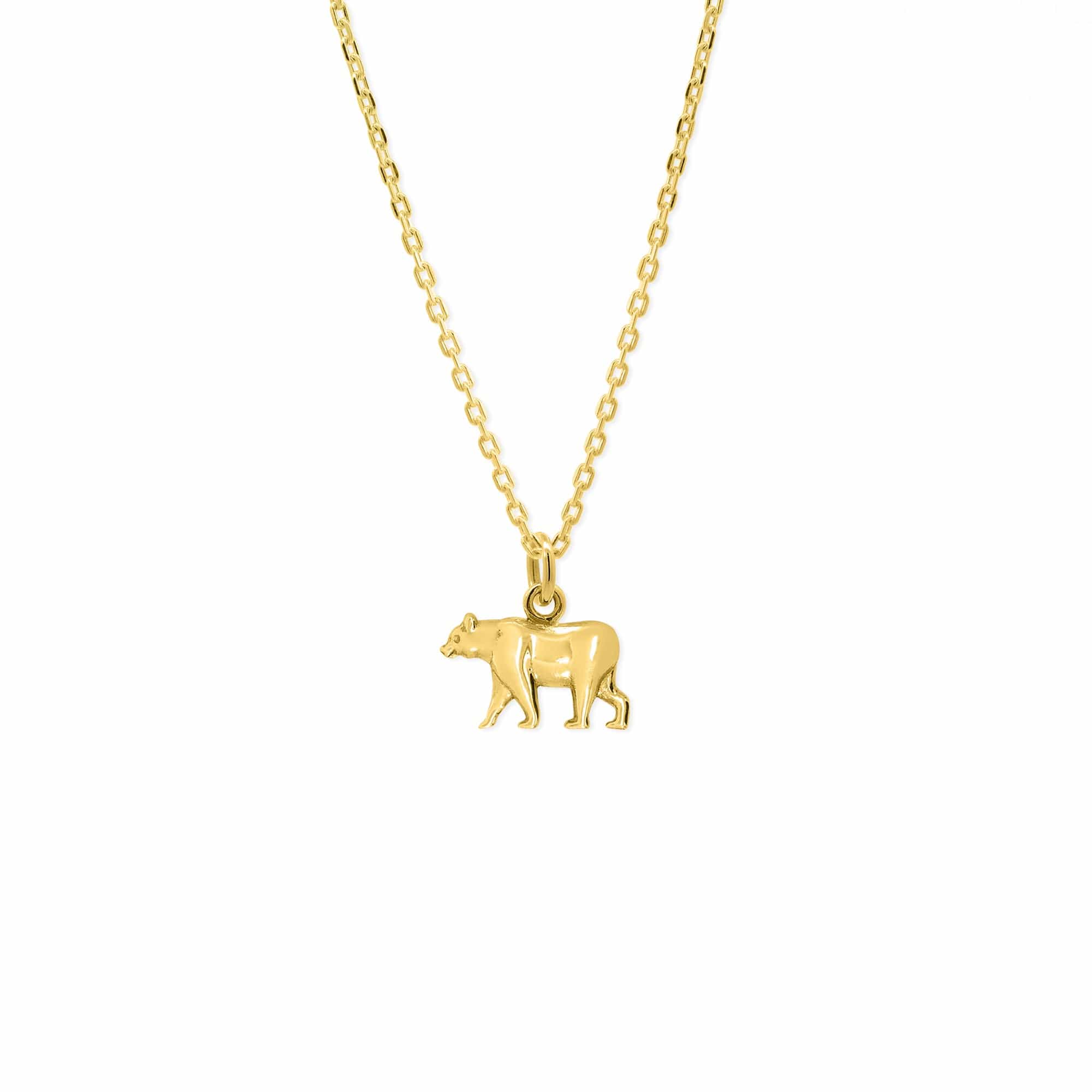 California Grizzly Bear Pendant Necklace - Image 7