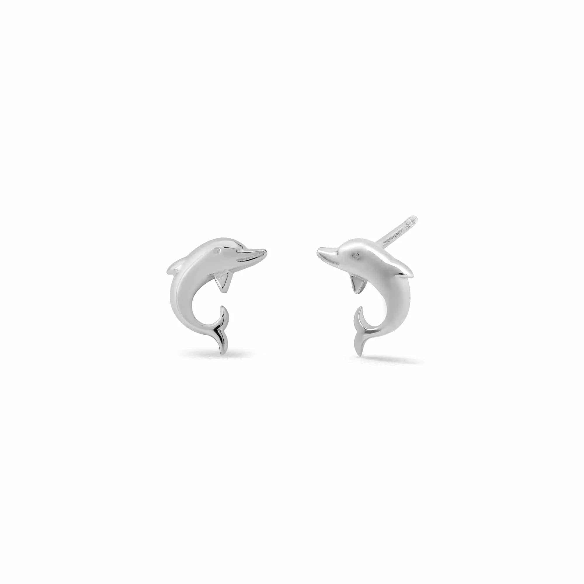 Dolphin Studs