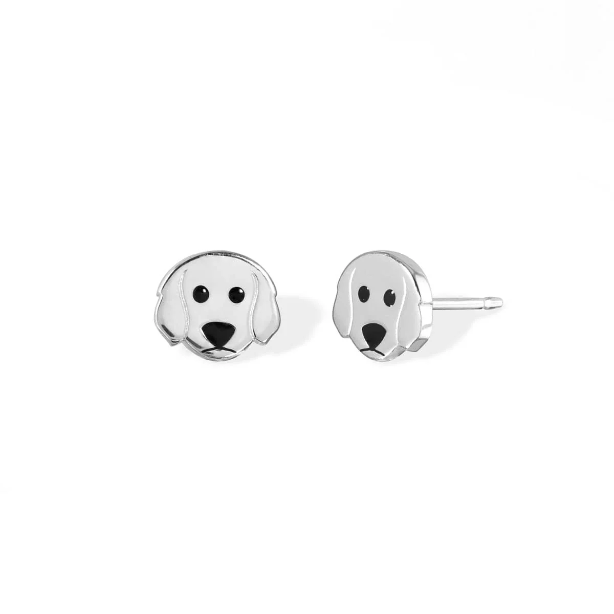Labradoodle Dog Studs