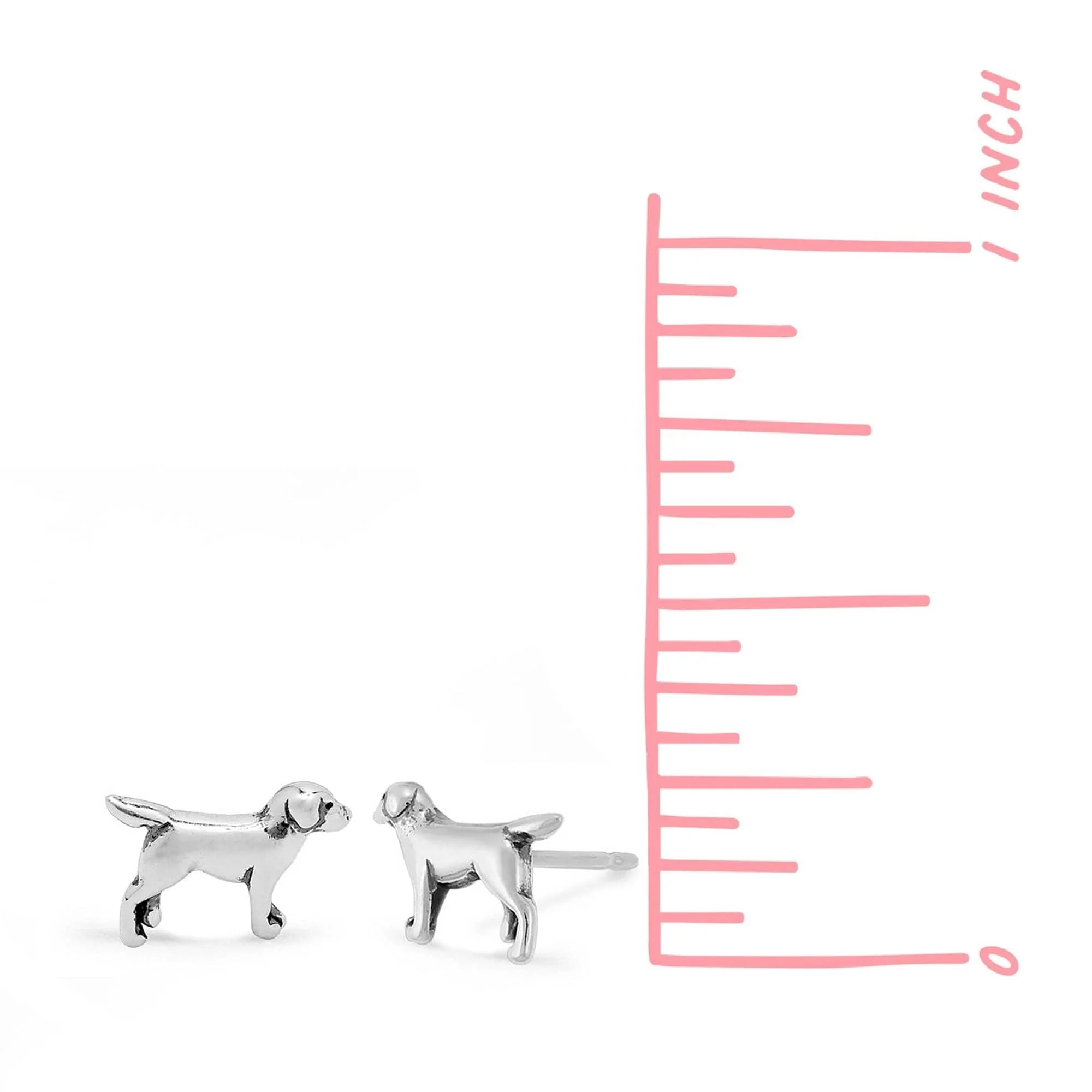 Labrador Retriever Dog - Image 3