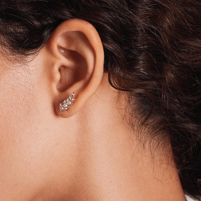 Leaf Ear Crawlers Stud Earrings - Image 3