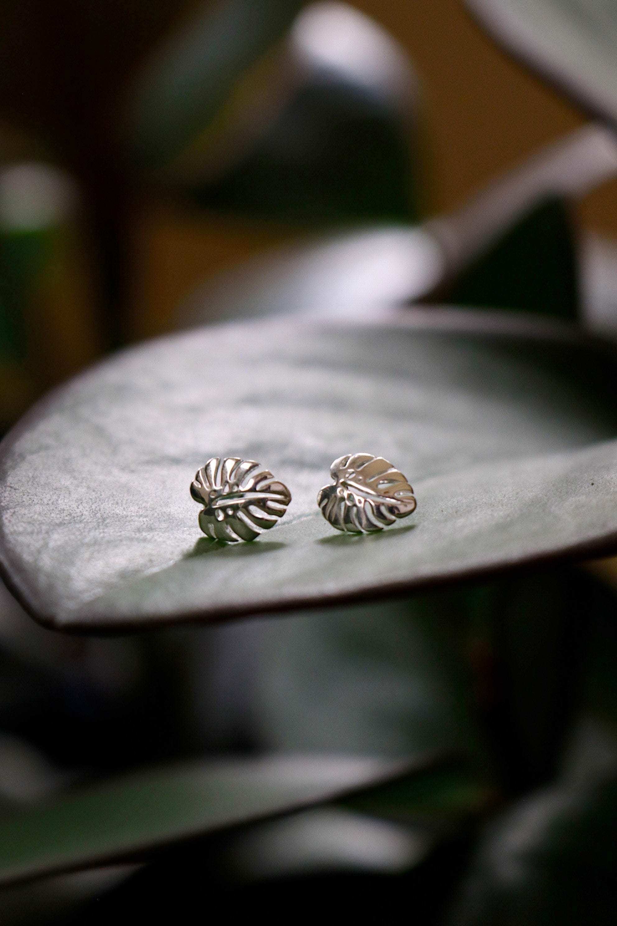 Monstera Leaf Studs - Image 15