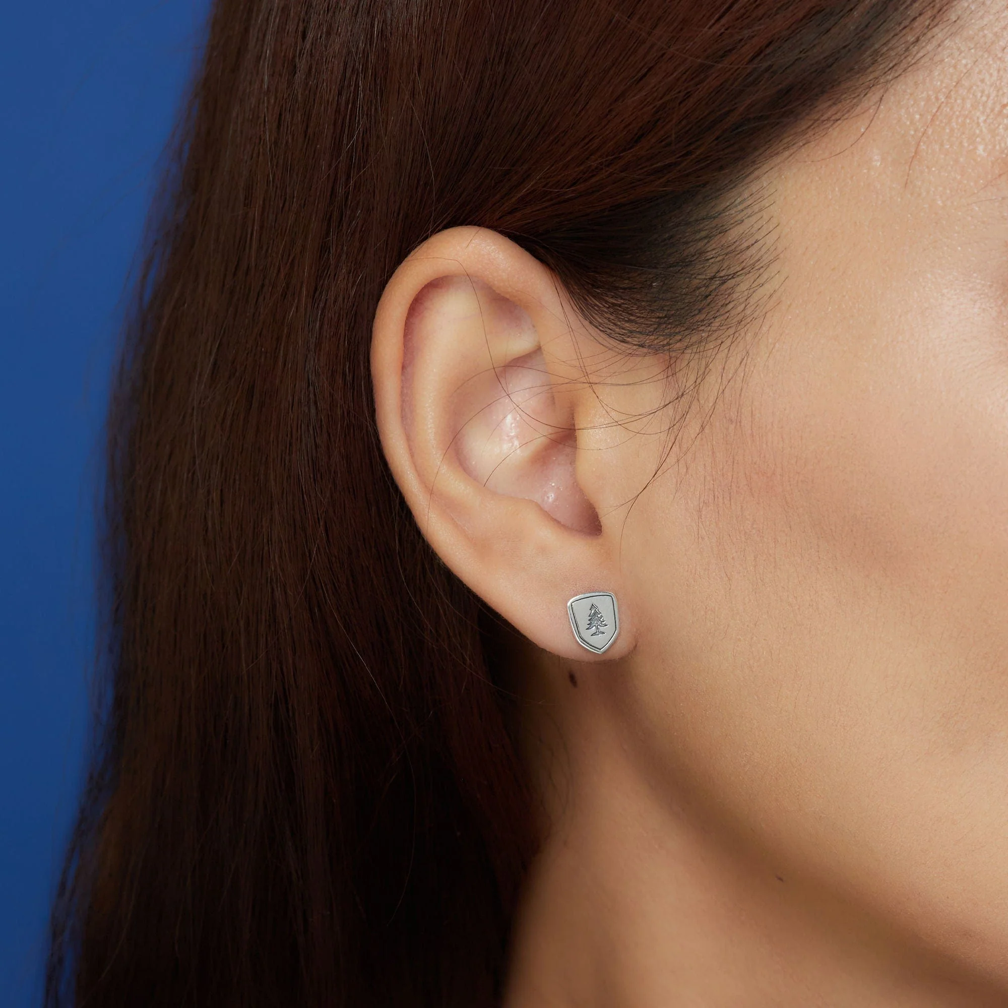 National Parks Stud Earrings - Image 2