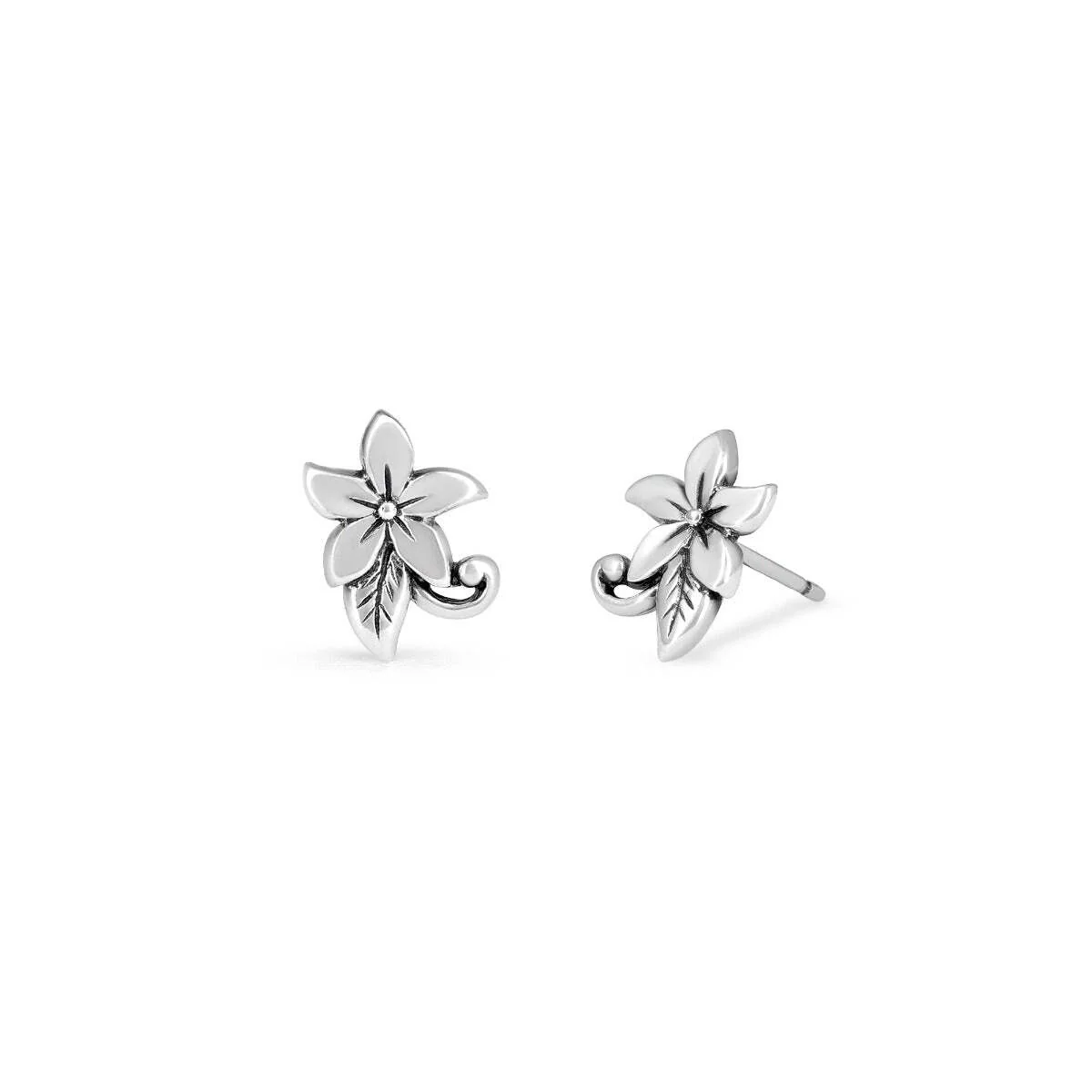 Plumeria Flower Studs